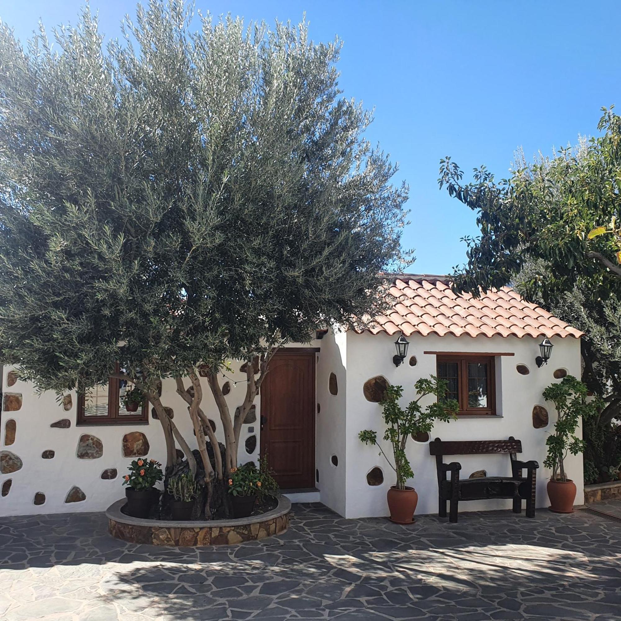 La Gallania De Papa Pepe Santa Lucía Exterior foto